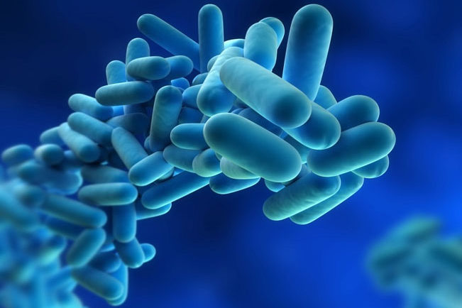 Webinar: Controlo do risco de exposição à Legionella em situações epidémicas e pandémicas